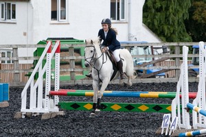 Class 3 -  Fences not above 2'3